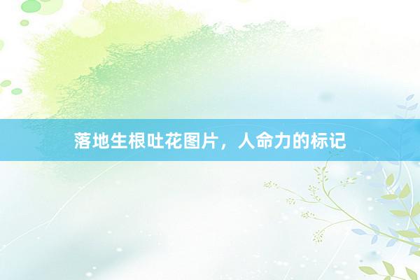 落地生根吐花图片，人命力的标记